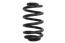 Coil spring LS4208450