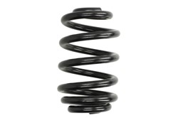 Coil spring LS4208459