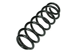 Coil spring LS4226139