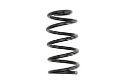 Coil spring LS4244239