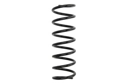 Coil spring LS4255438
