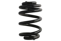 Coil spring LS4256838