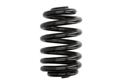 Coil spring LS4256839