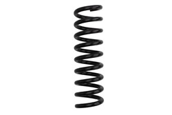 Coil spring LS4256850