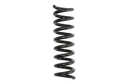 Coil spring LS4256855