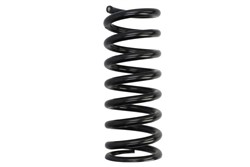 Coil spring LS4256869