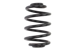 Coil spring LS4272914