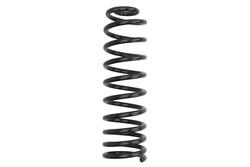 Coil spring LS4295011