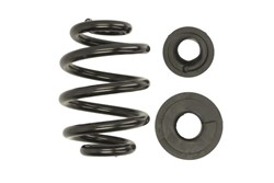 Coil spring LS4295019
