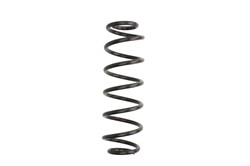 Coil spring LS4295038