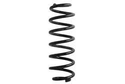 Coil spring LS4295093