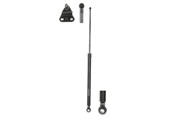 Gas Spring, boot/cargo area LS8135714_0
