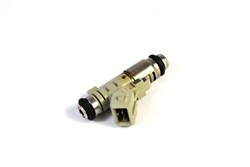 Injector 230016209077