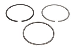 Piston Ring Kit 004 13 N0