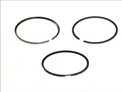 Piston Ring Kit 012 03 N0
