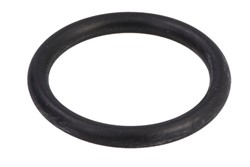 Seal Ring, injector 72215