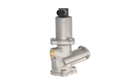 EGR valve NIS 98175_1