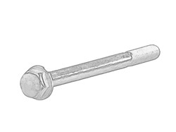 Raw HEX bolts OE IVECO 16598325