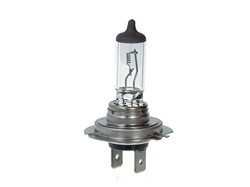Light bulb H7 Standard (1 pcs) 24V 70W_1