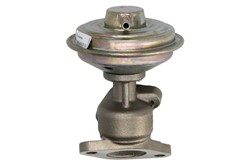 EGR valve 7.00309.07.0_1