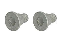 Монтажний болт гальмівного диску QB11679K