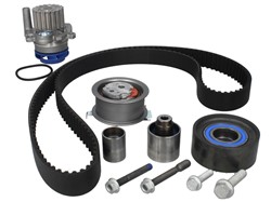 Timing set (belt+ pulley+ water pump) SKF VKMC 01263-1