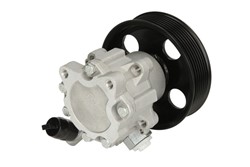 Hydraulic Pump, steering 0.054394_1