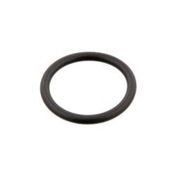 Seal Ring, coolant pipe SW30929752_0