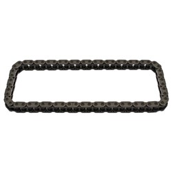 Timing Chain SW30939961_1