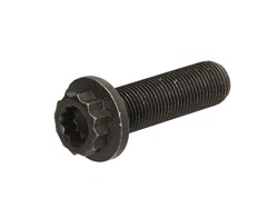 Pulley Bolt SW32923042_0