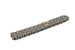 Timing Chain SW83949597_0