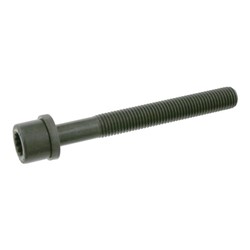 Cylinder head bolt SW99906666