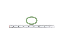 Gasket, coolant pipe VAL509147_0
