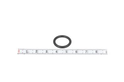 Gasket, coolant pipe VAL509149