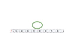 Gasket, coolant pipe VAL509157