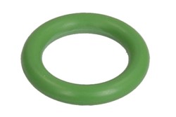 Gasket, coolant pipe VAL509169