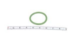 Gasket, coolant pipe VAL509176