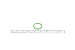 Gasket, coolant pipe VAL509181