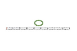 Gasket, coolant pipe VAL509186