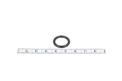 Gasket, coolant pipe VAL509302