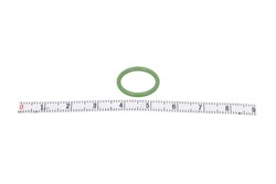 Gasket, coolant pipe VAL509736