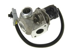 EGR valve VAL700412_1