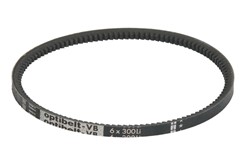 V-belt Y/6 300/315 OPTIBELT