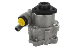 Hydraulic Pump, steering V10-0573
