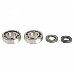 Crankshaft main bearing P400250444256 fits KAWASAKI