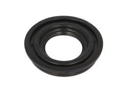 Seal Ring, injector TR 1324_1