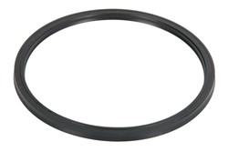 Seal Ring, torque converter 0501312243ZF