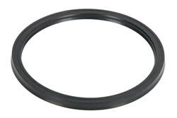 Seal Ring, torque converter 0501312244ZF_0