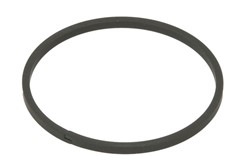 Seal Ring, torque converter 0501322916ZF