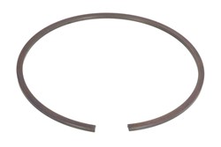Circlip ZF 0730513396ZF